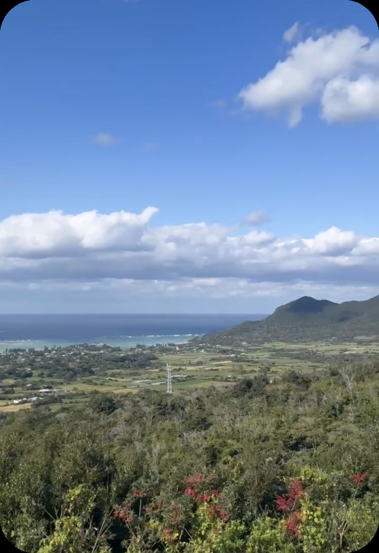 山から海を見る風景写真